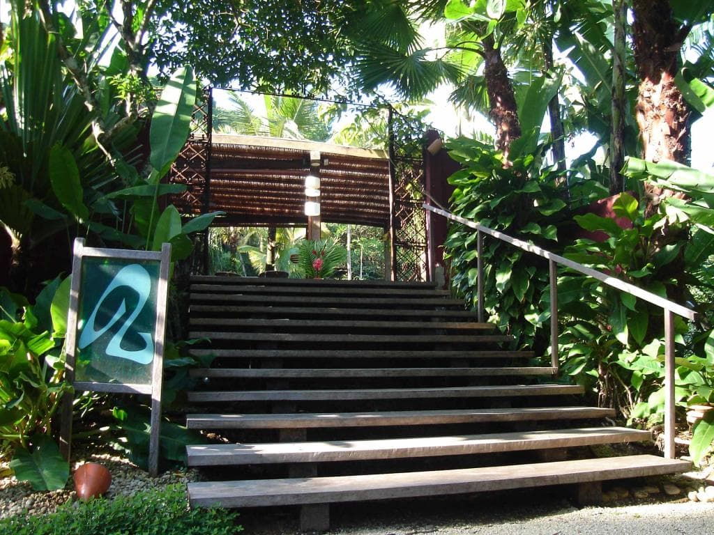 Entrada do restaurante Acqua, com escadaria de madeira e vegetação